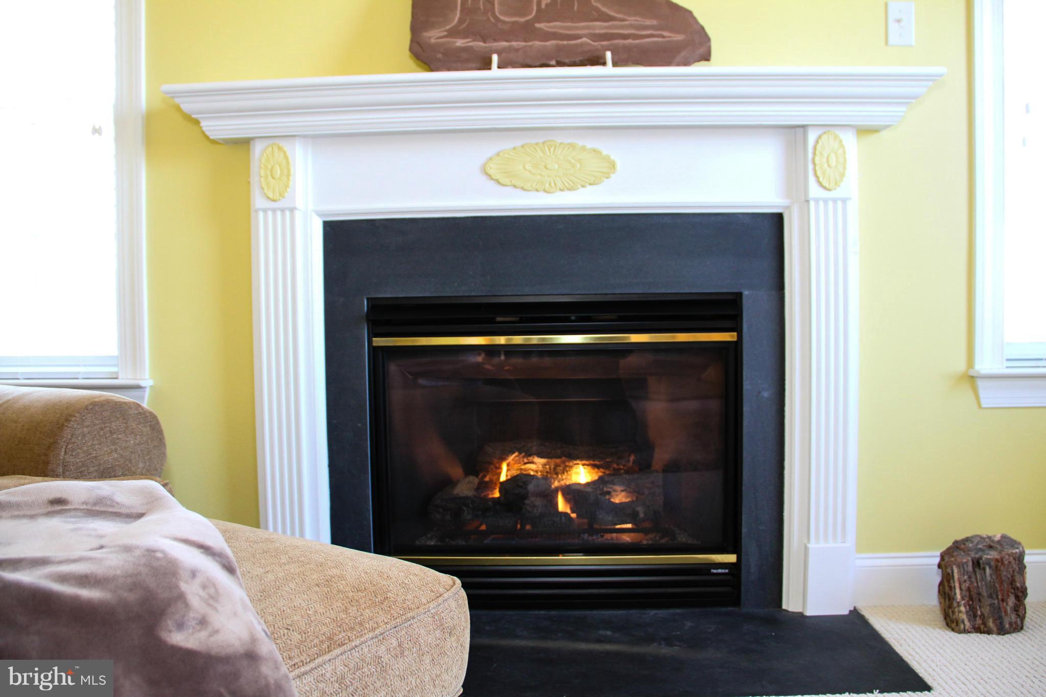 SPRUCE HILL ESTATES - Residential