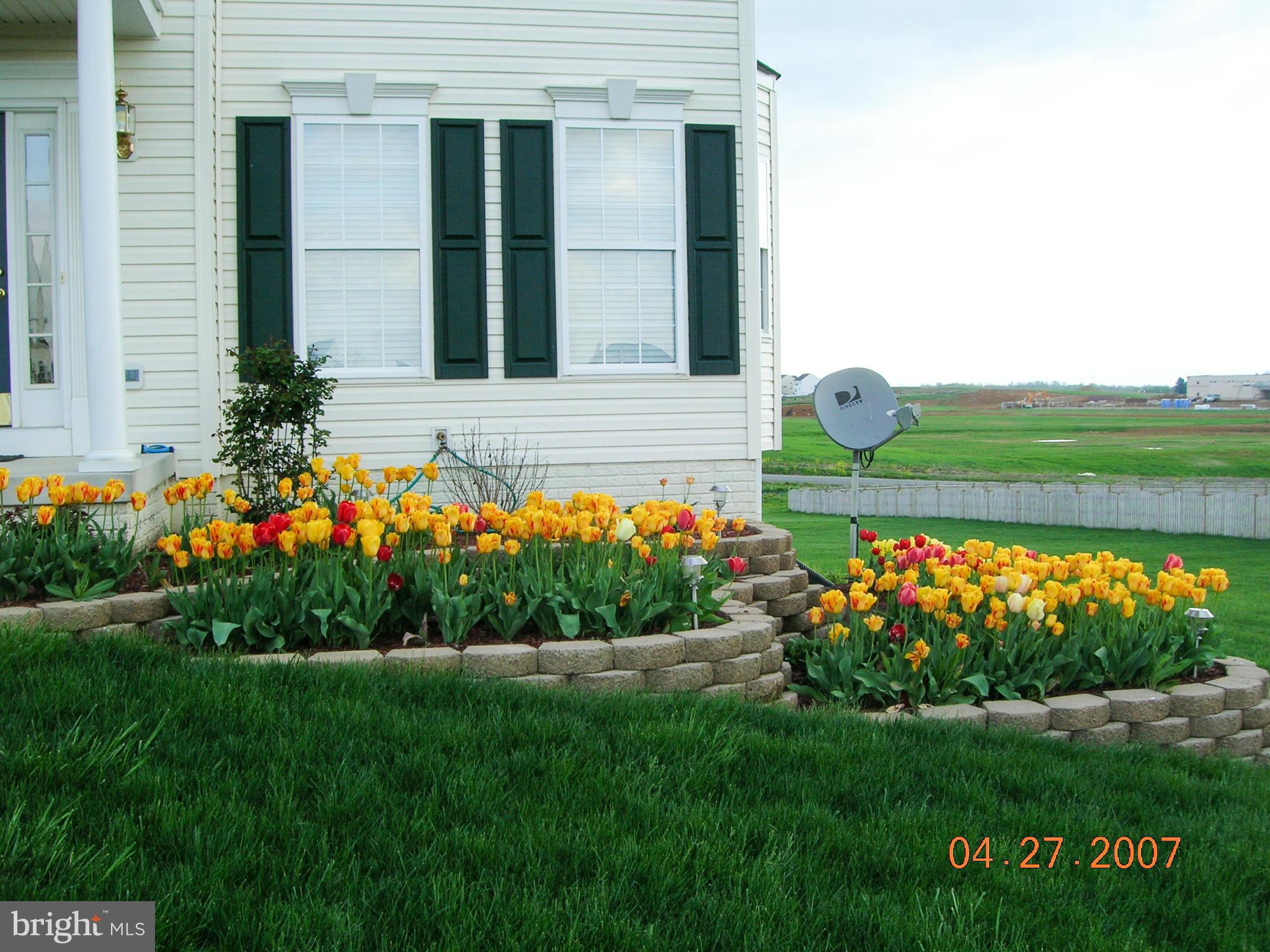 SPRUCE HILL ESTATES - Residential