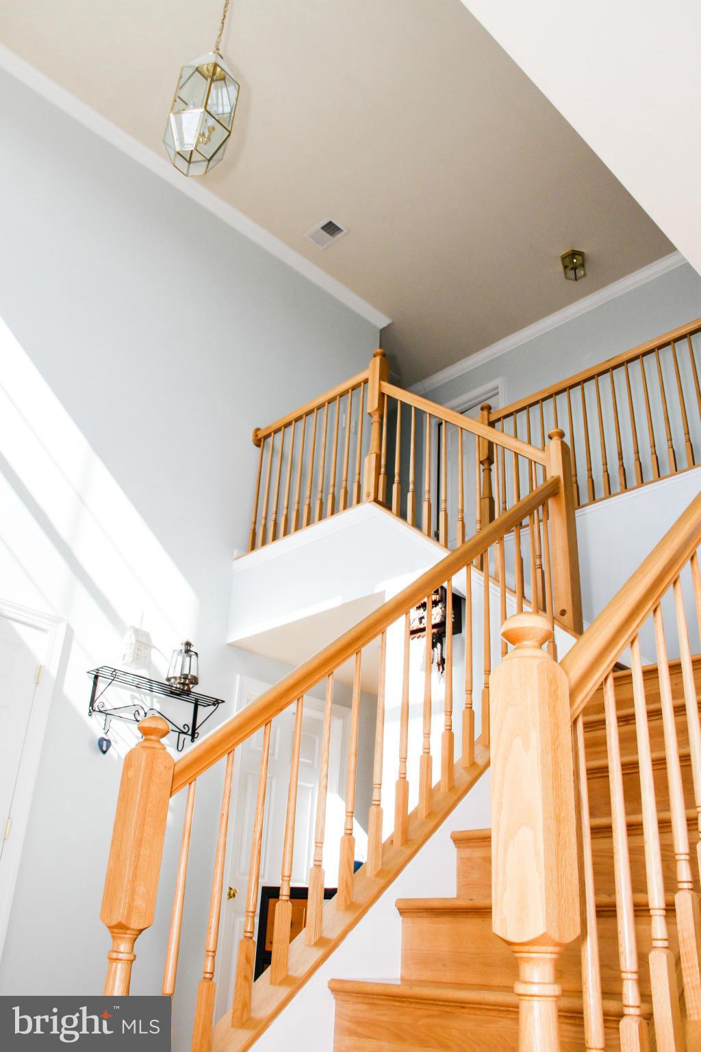 SPRUCE HILL ESTATES - Residential