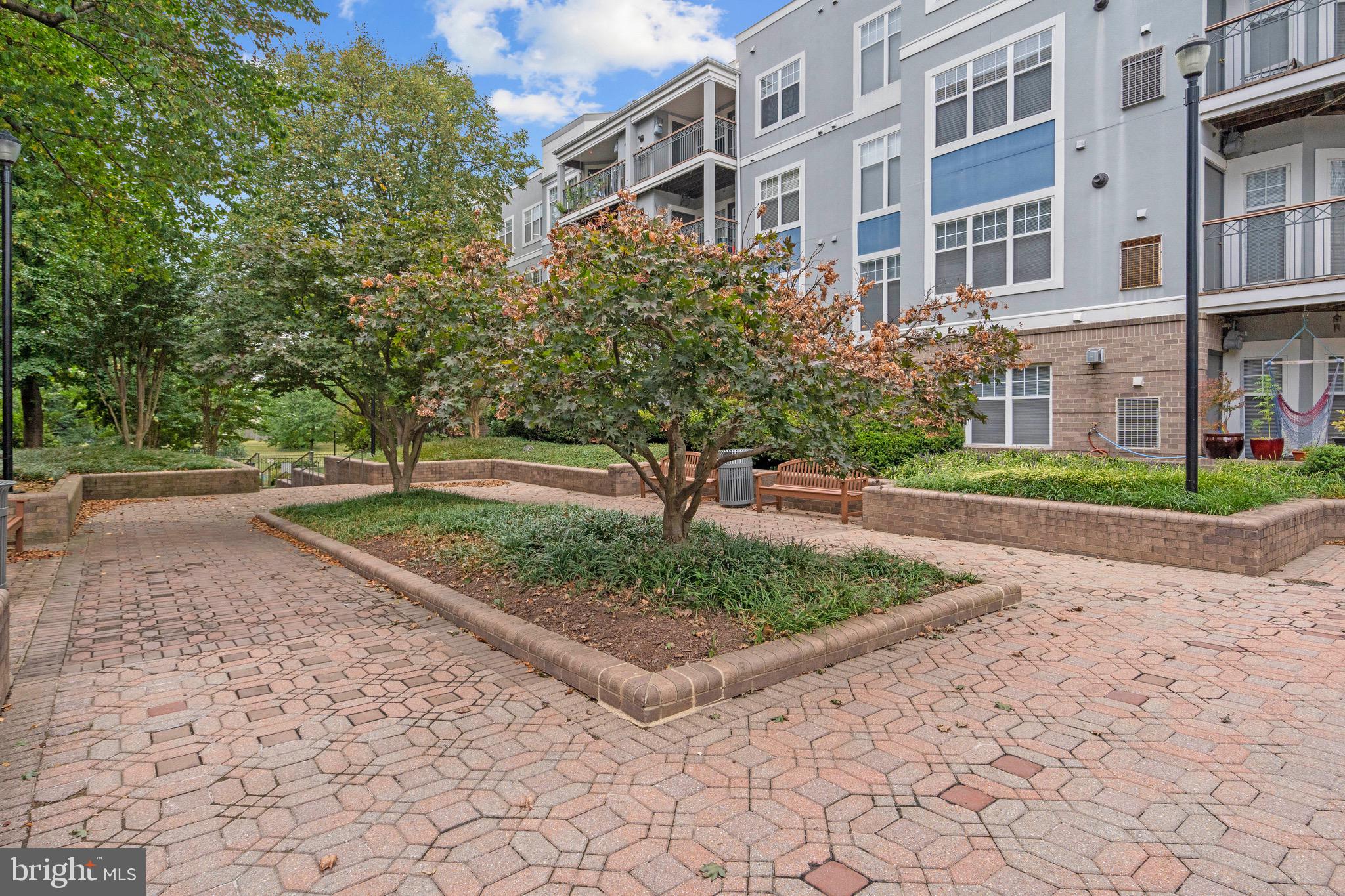 SAVOY PARK CONDOMINIUMS - Residential