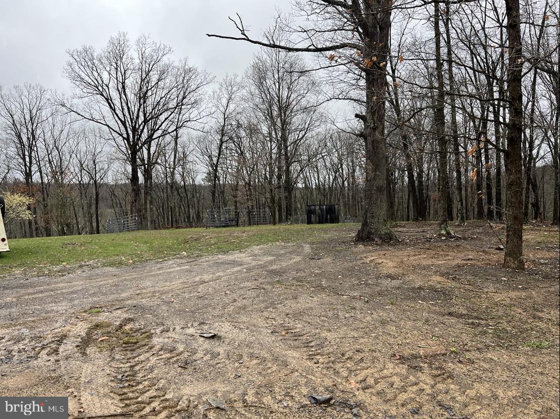 BELL HOLLOW ESTATES - Residential