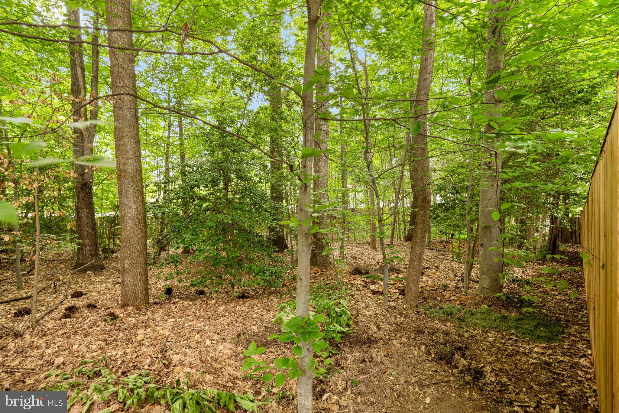 SOUTH RUN FOREST - Residential