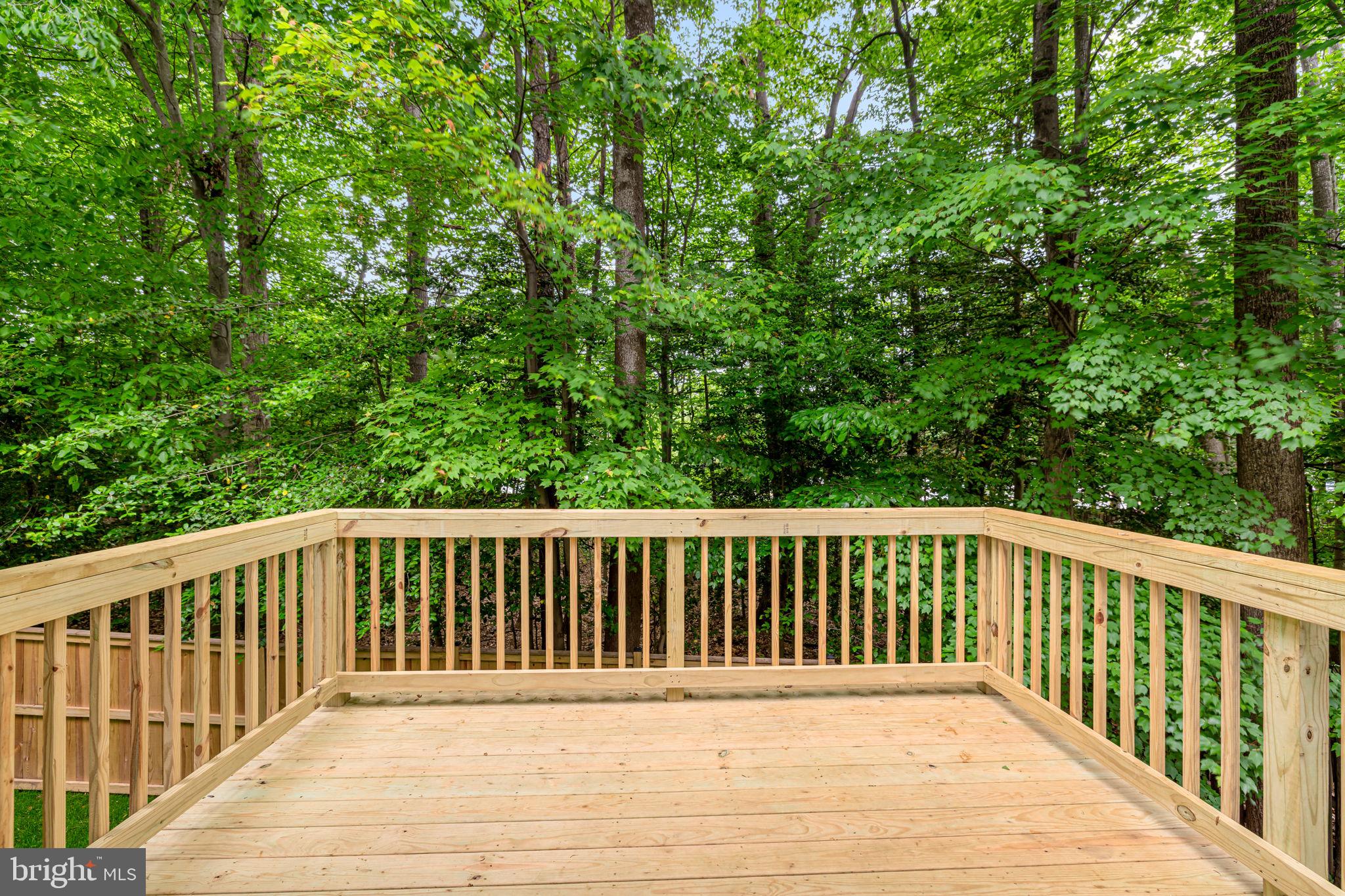 SOUTH RUN FOREST - Residential