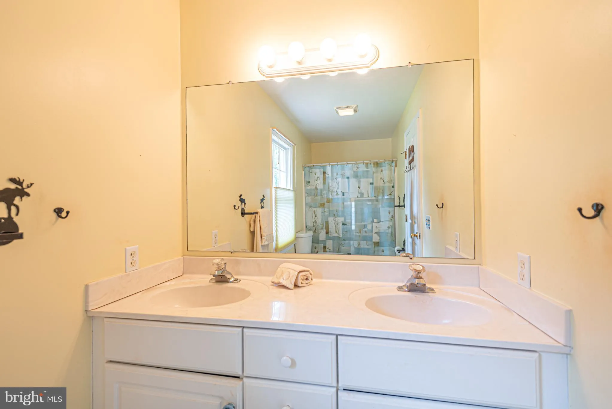 Selbyville, Delaware 19975, United States, 3 Bedrooms Bedrooms, ,3 BathroomsBathrooms,Residential,Coming Soon,165573