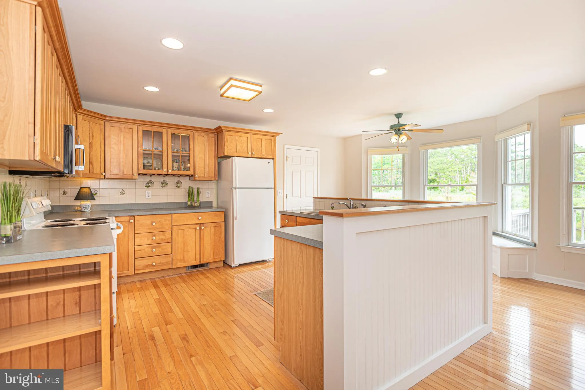 Selbyville, Delaware 19975, United States, 3 Bedrooms Bedrooms, ,3 BathroomsBathrooms,Residential,Coming Soon,165573