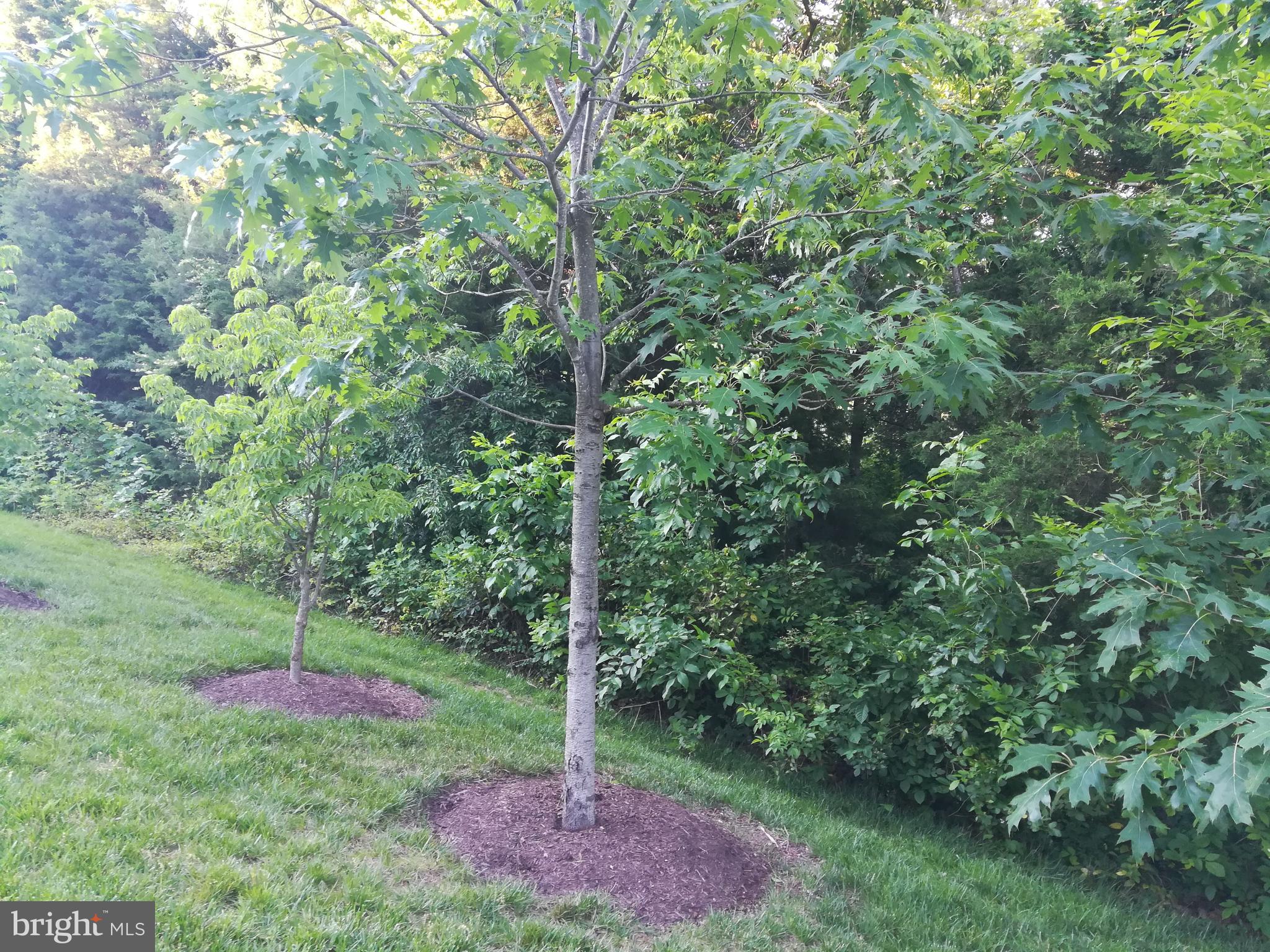 LOUDOUN VALLEY ESTATES 2 - Residential Lease