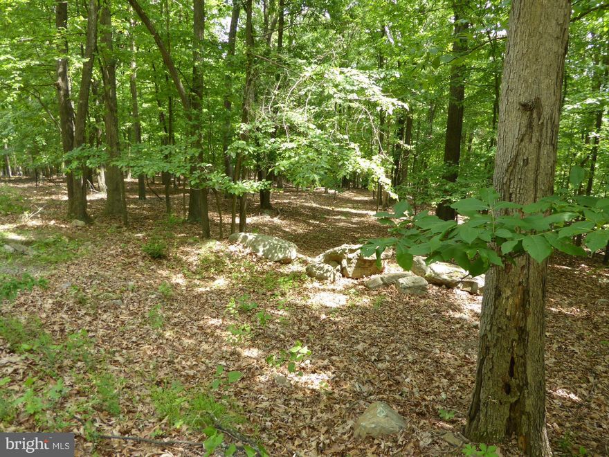 CALL TODAY TO SEE THIS LOT WITH A LITTLE OVER 2 ACRES LOCATED IN THE GATED  COMMUNITY OF SOMERSET . BECAUSE YOU HAVE TO ENTER A CODE FOR THE GATE TO OPEN, YOUR PROPERTY WILL BE MORE SECURE.  NOW THERE IS HIGH SPPED FIBER INTERNET.  YOU CAN BUILD YOUR DREAM GET-AWAY CABIN OR FOREVER HOME OR CAMP SEASONALLY .NESTLED IN THE PRIVACY OF THE WOODED LOT ENJOY BACK TO NATURE WITH DEER, TURKEY, SQUIRRELS, RABBITS, AND OTHER CRITTERS. TSOMERSET IS  CLOTHING OPTIONAL. YOU ARE A SHORT DISTANCE TO THE ADJACENT AVALON RESORT, WHERE YOU CAN PURCHASE A MEMBERSHIP TO ENJOY ALL THE AMENITIES AVAILABLE THERE WHICH INCLUDE: INDOOR/OUTDOOR POOLS, HIKING, EXERCISE TRAILS,TENNIS COURTS, VOLLEYBALL AND SPAS.