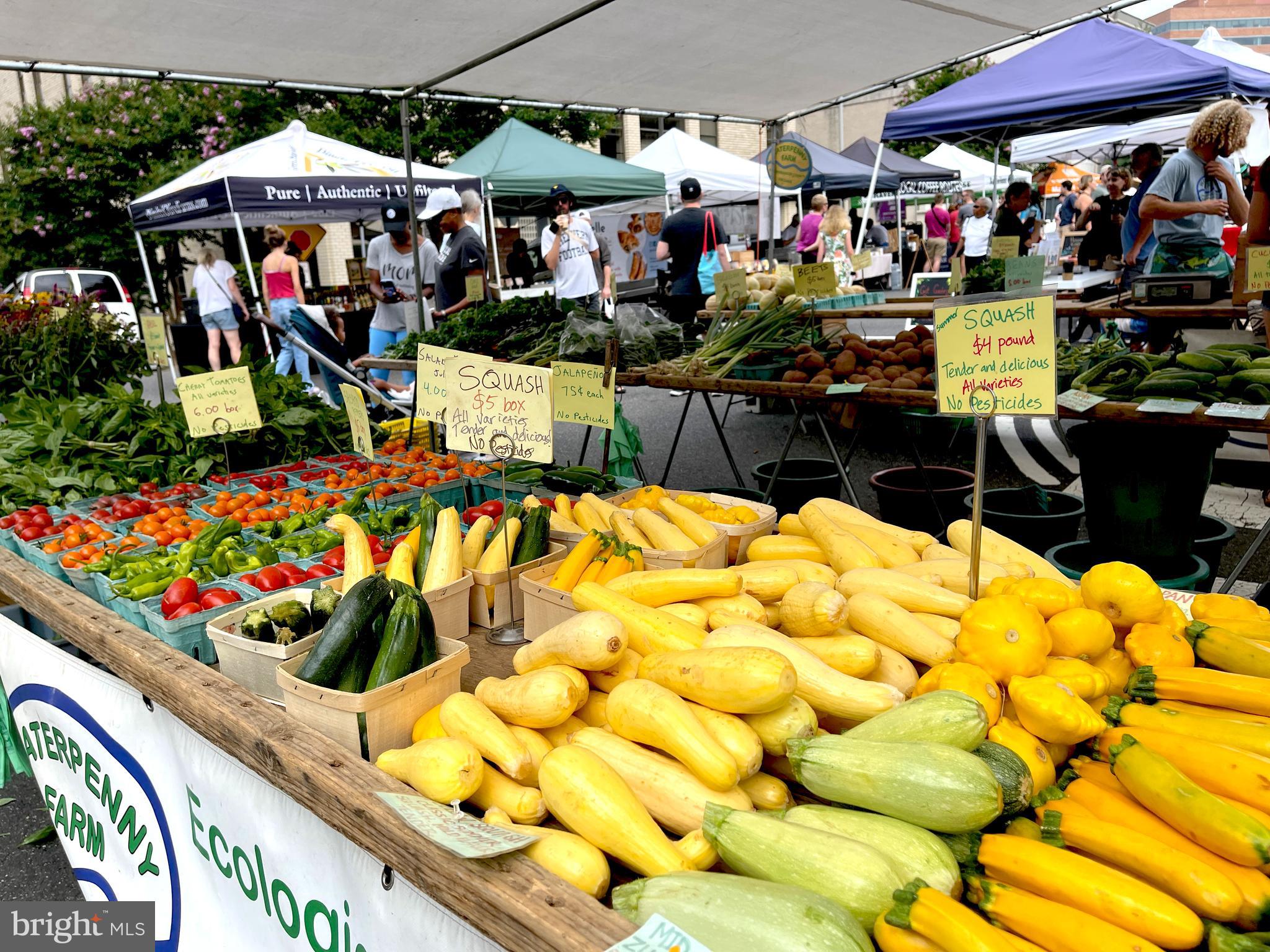 ODYSSEY - Residential Lease