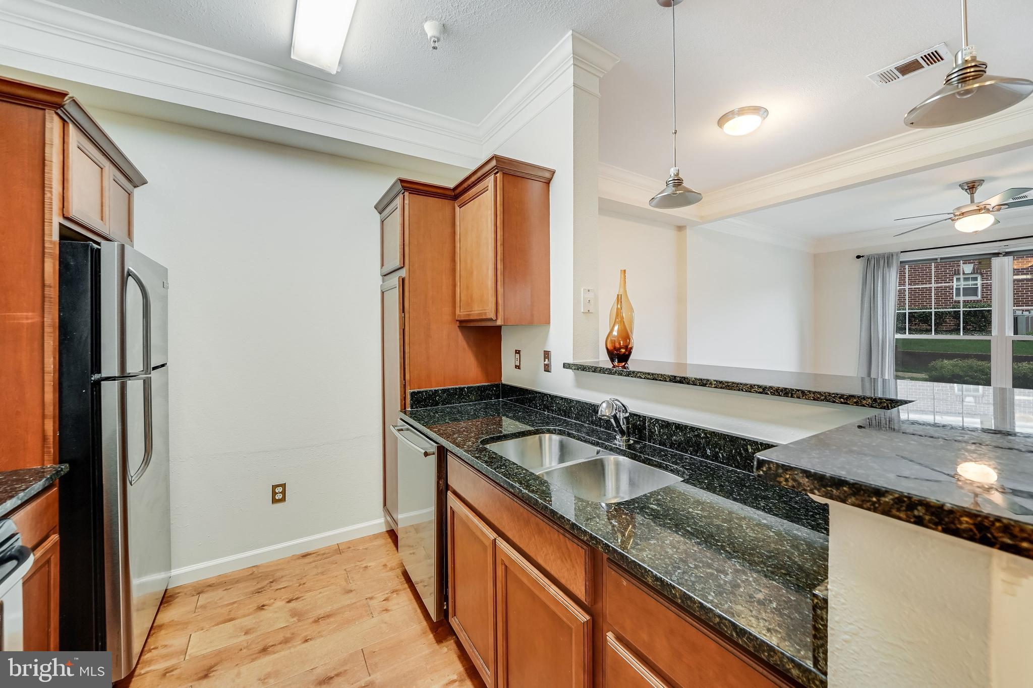 1550 SPRING GATE DRIVE 8103