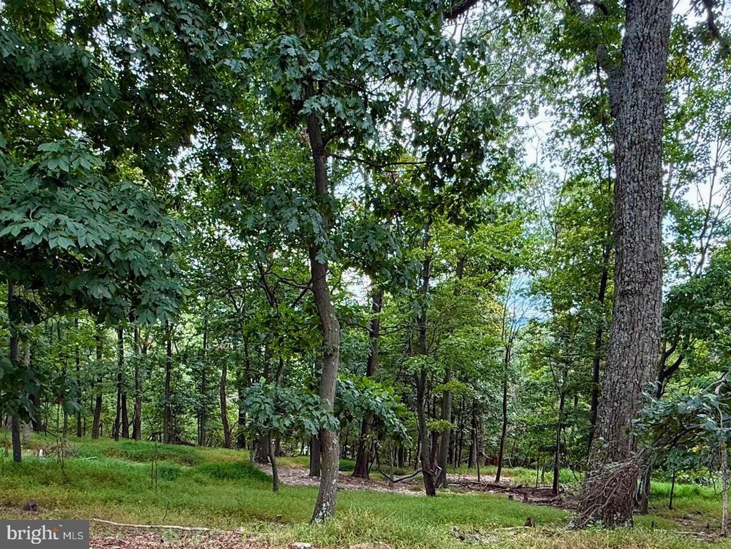 Photo of Fawn Run, HEDGESVILLE, WV 25427 (MLS # WVMO2006880)