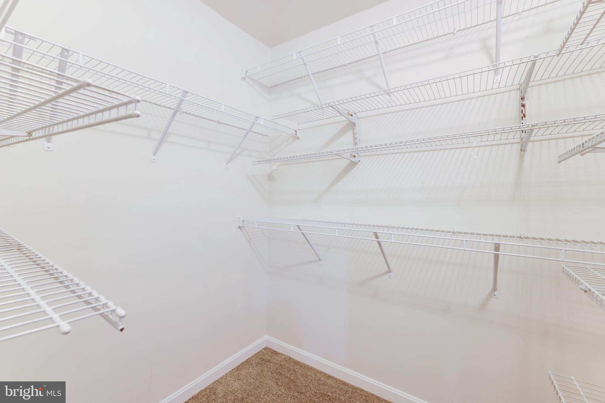 ALEXANDERS CHASE - Residential Lease