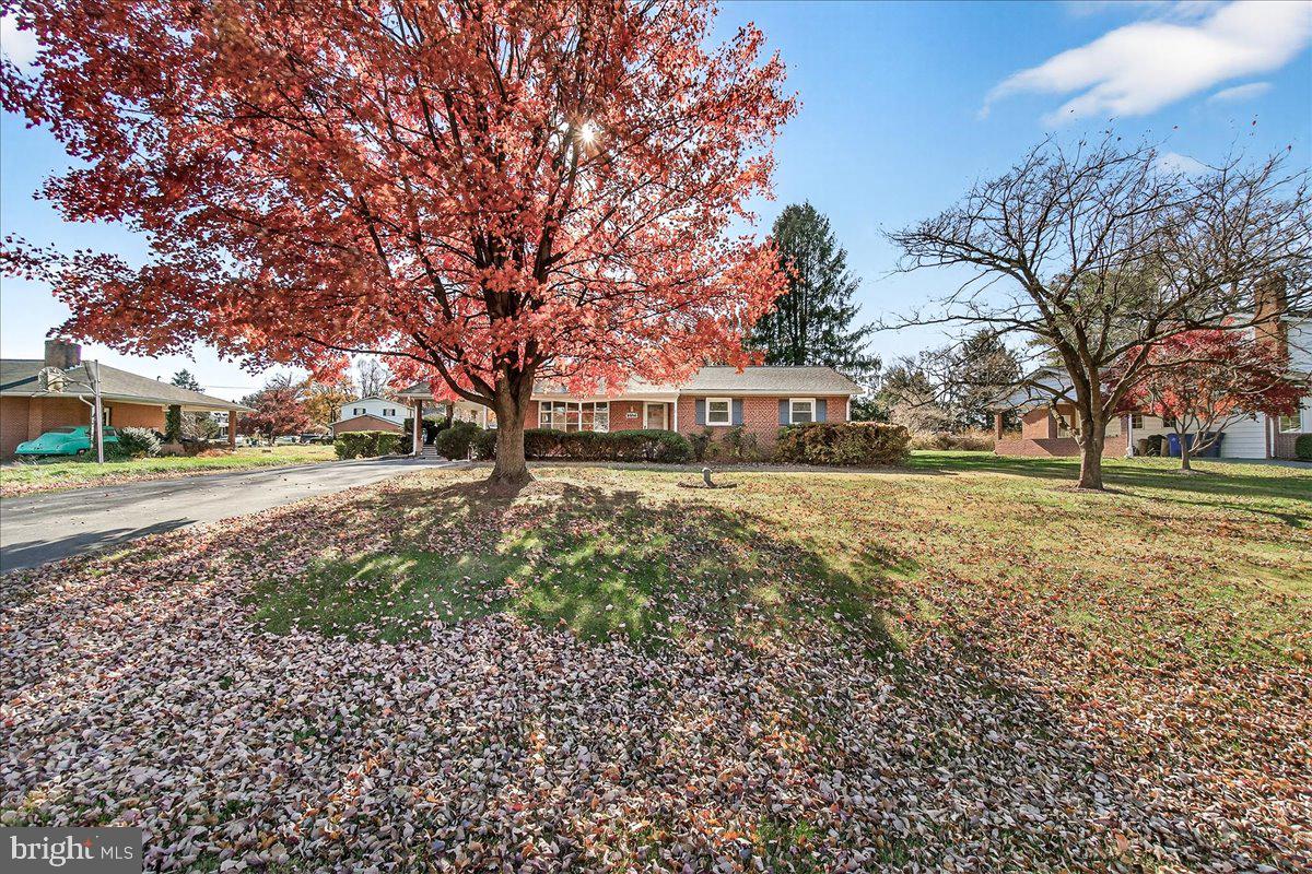 CLOVER HILL - Residential