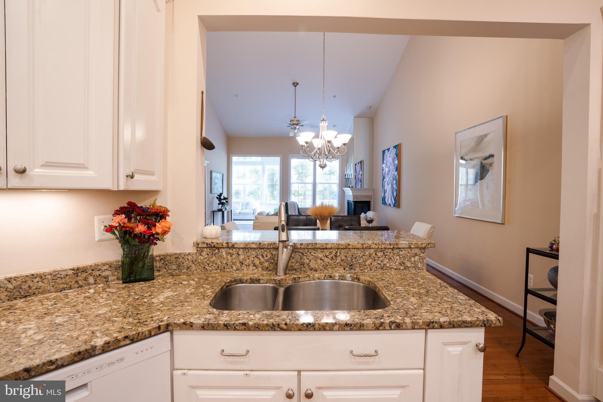 ELLICOTT MEADOWS - Residential