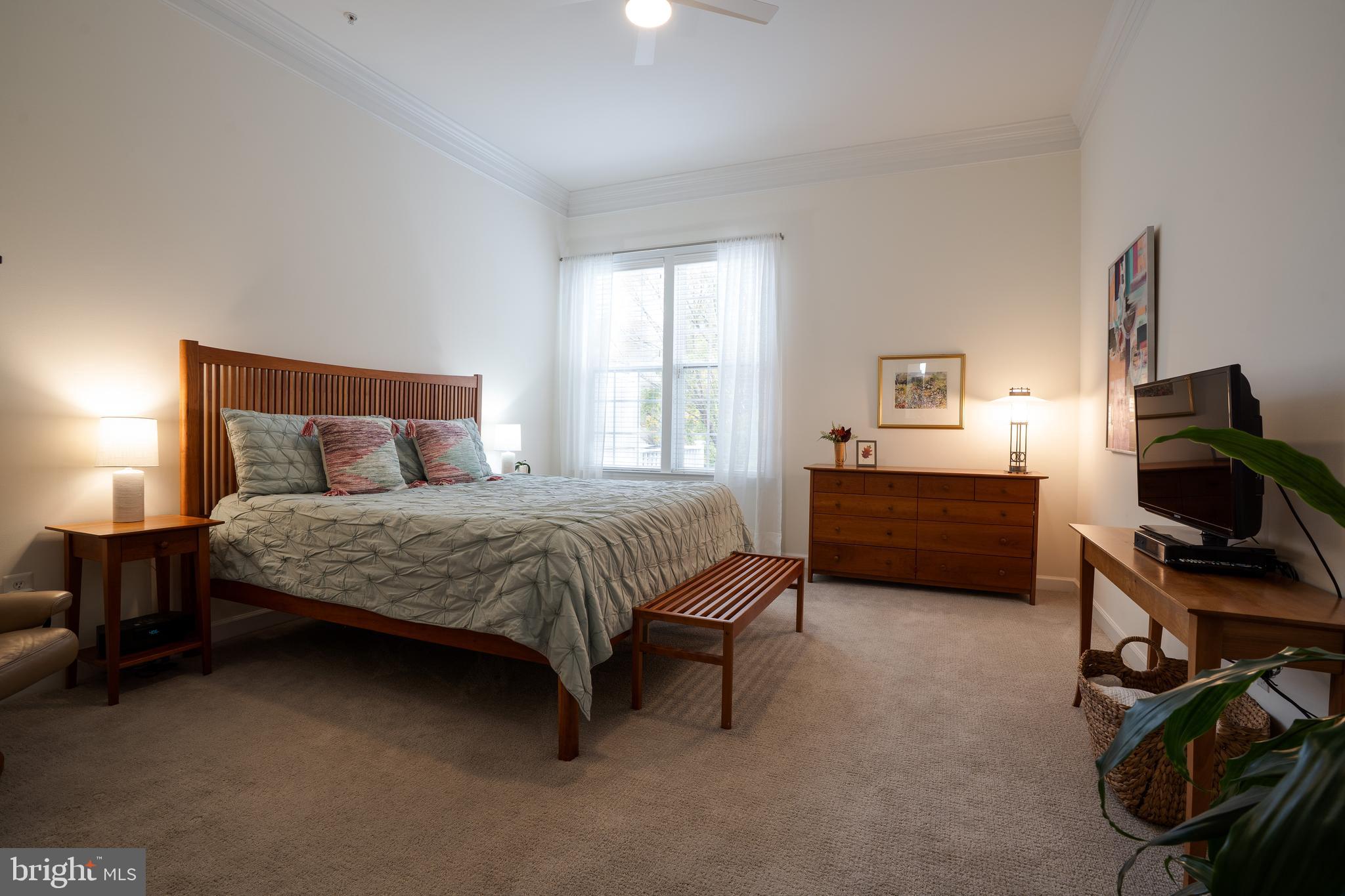 ELLICOTT MEADOWS - Residential