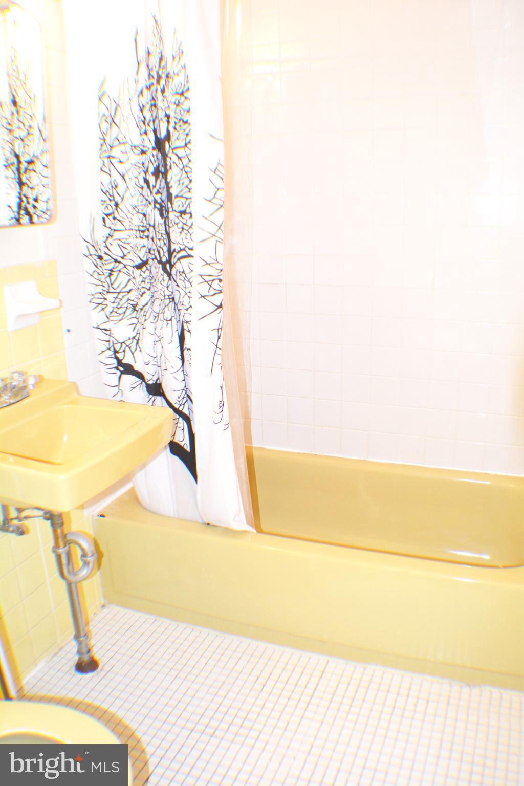 EAST FALLS - Residential Lease