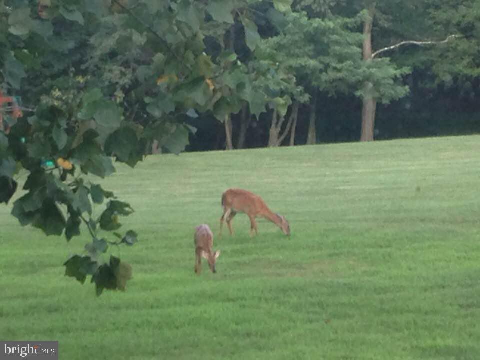 1218 FAIRFIELD ESTATES LANE