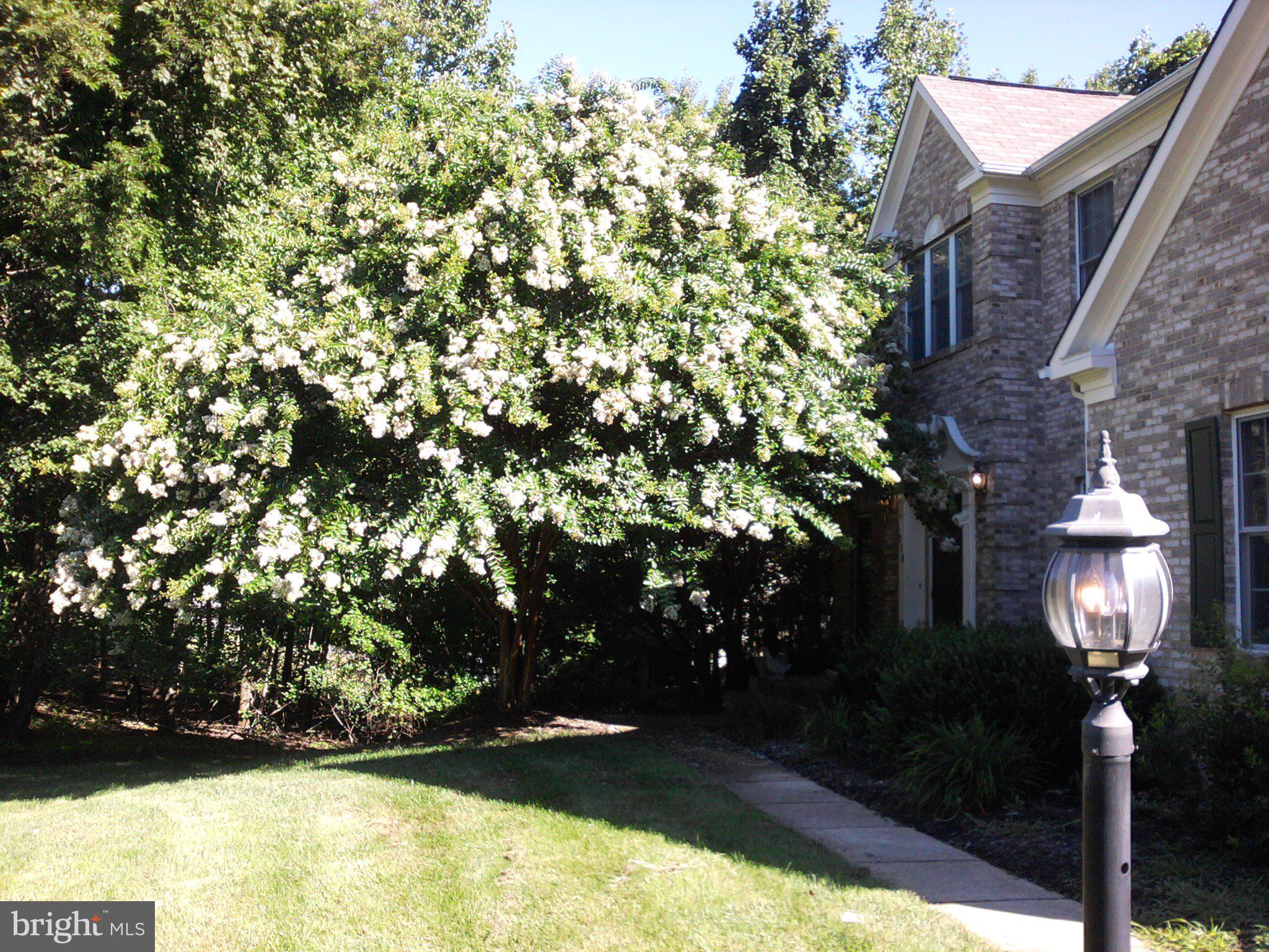 FAIRFIELD ESTATES - Residential