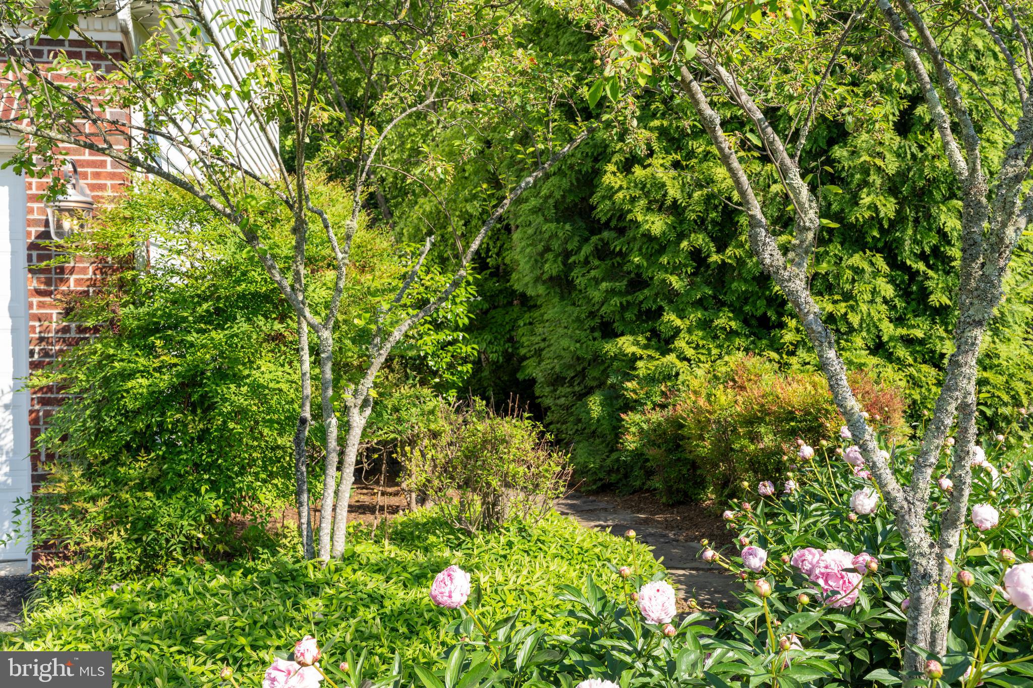 HAMBLETON SYMINGTN - Residential