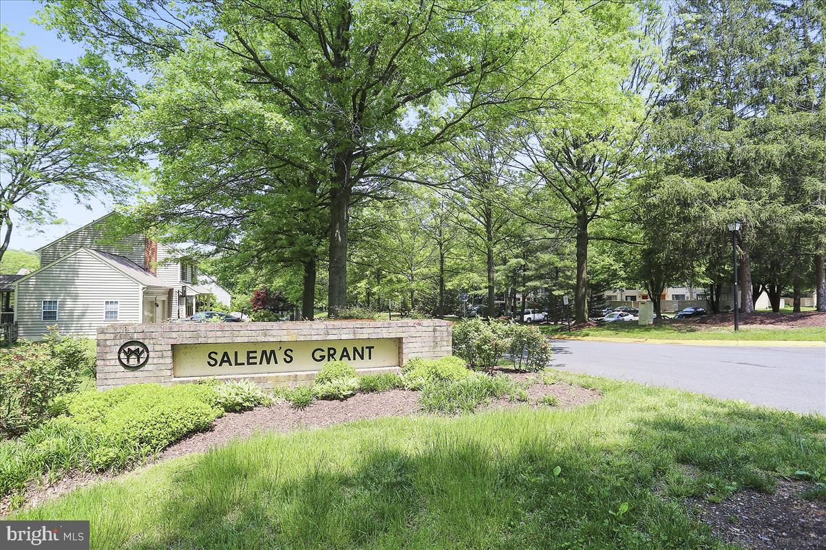 SALEMS GRANT - Residential