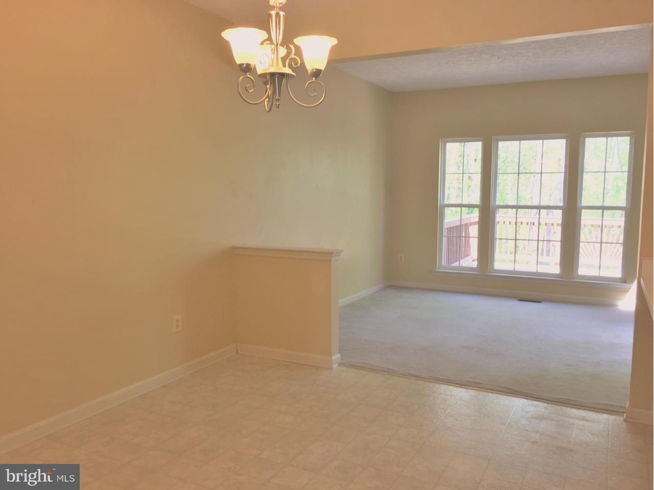 CONSTANT FRIENDSHIP - Residential Lease