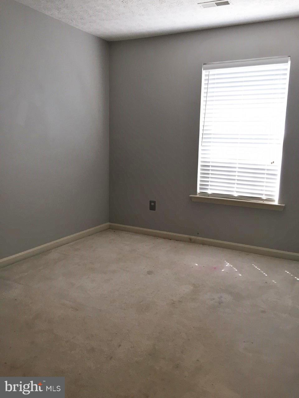 CONSTANT FRIENDSHIP - Residential Lease