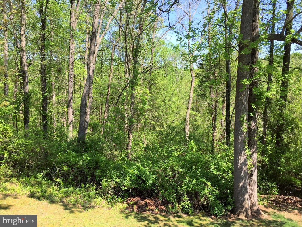 CONSTANT FRIENDSHIP - Residential Lease