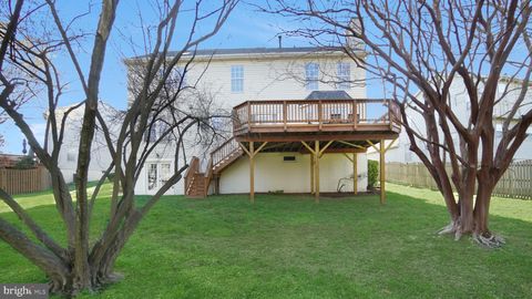listing image 43