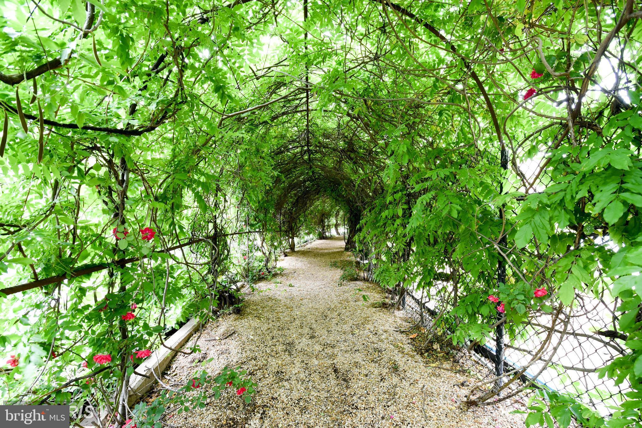 ROTONDA - Residential Lease