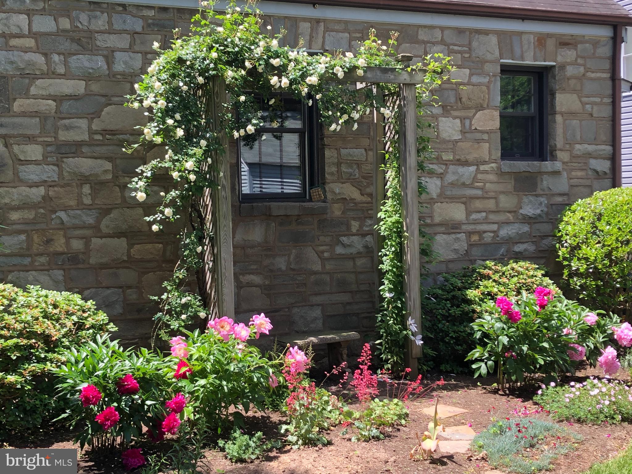 LEXINGTON VILLAGE - Residential