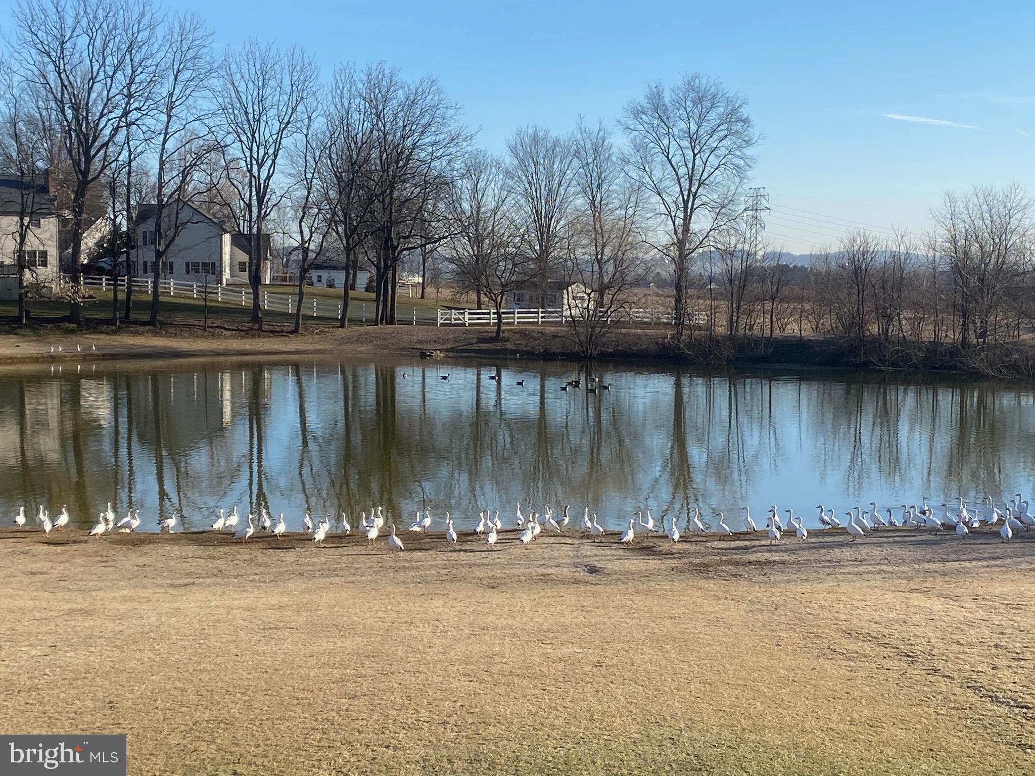 WHEATSTONE - Residential