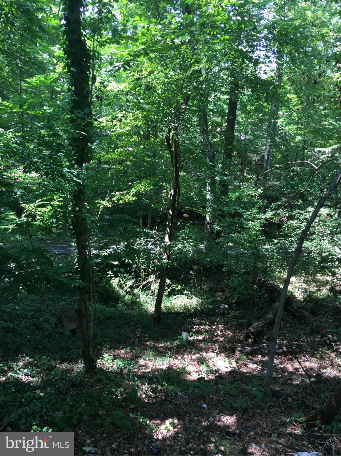 STEVENS FOREST - Residential Lease