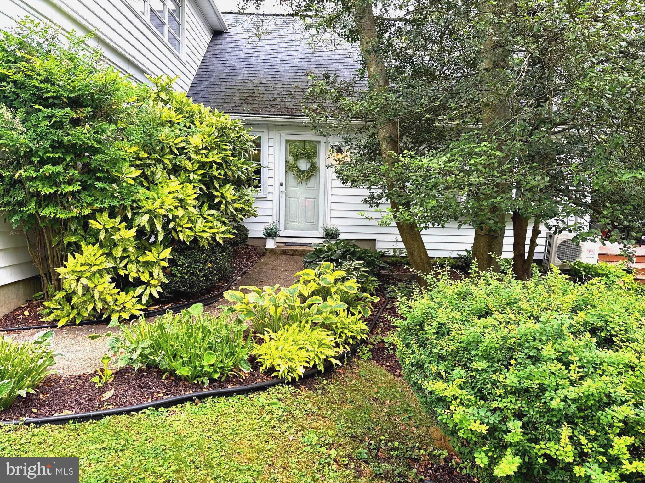10 WILSON AVENUE