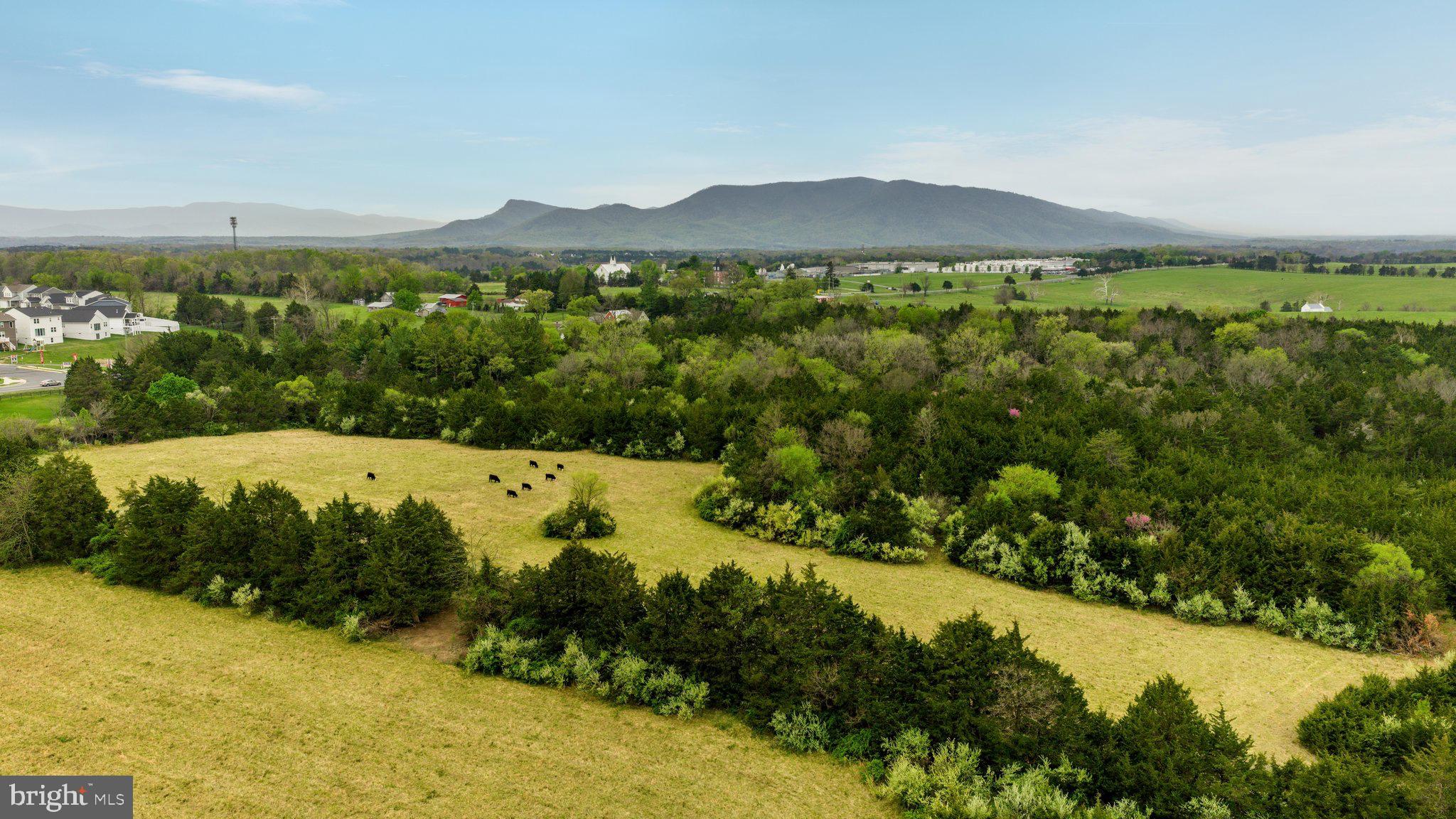 Lot 20 VETERANS ROAD