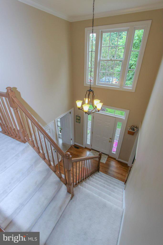 LIFESTYLE AT SULLY STATION - Residential