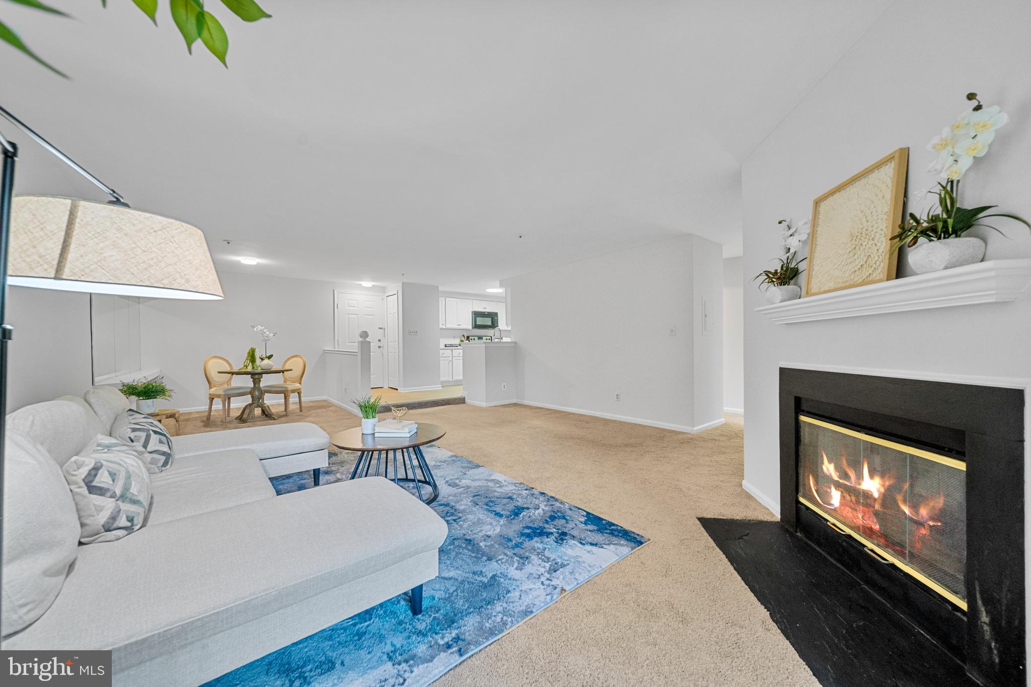 244 S REYNOLDS STREET 302