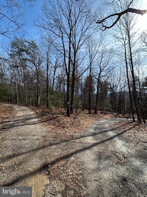 Vacant Land For Sale - 301 Abbotts Lane<br/> RILEYVILLE, VA 22650