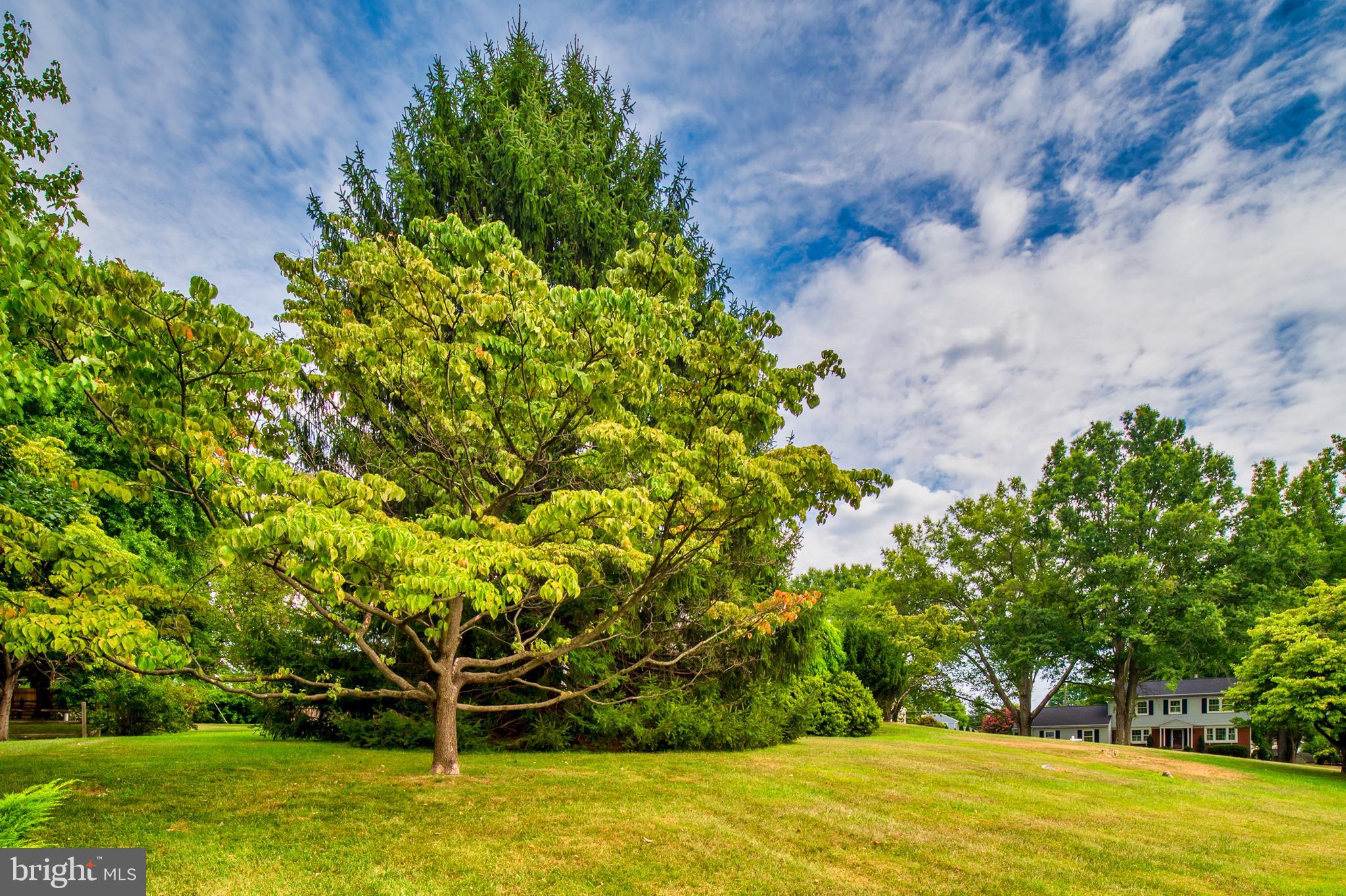 CHATHAM MEWS - Residential