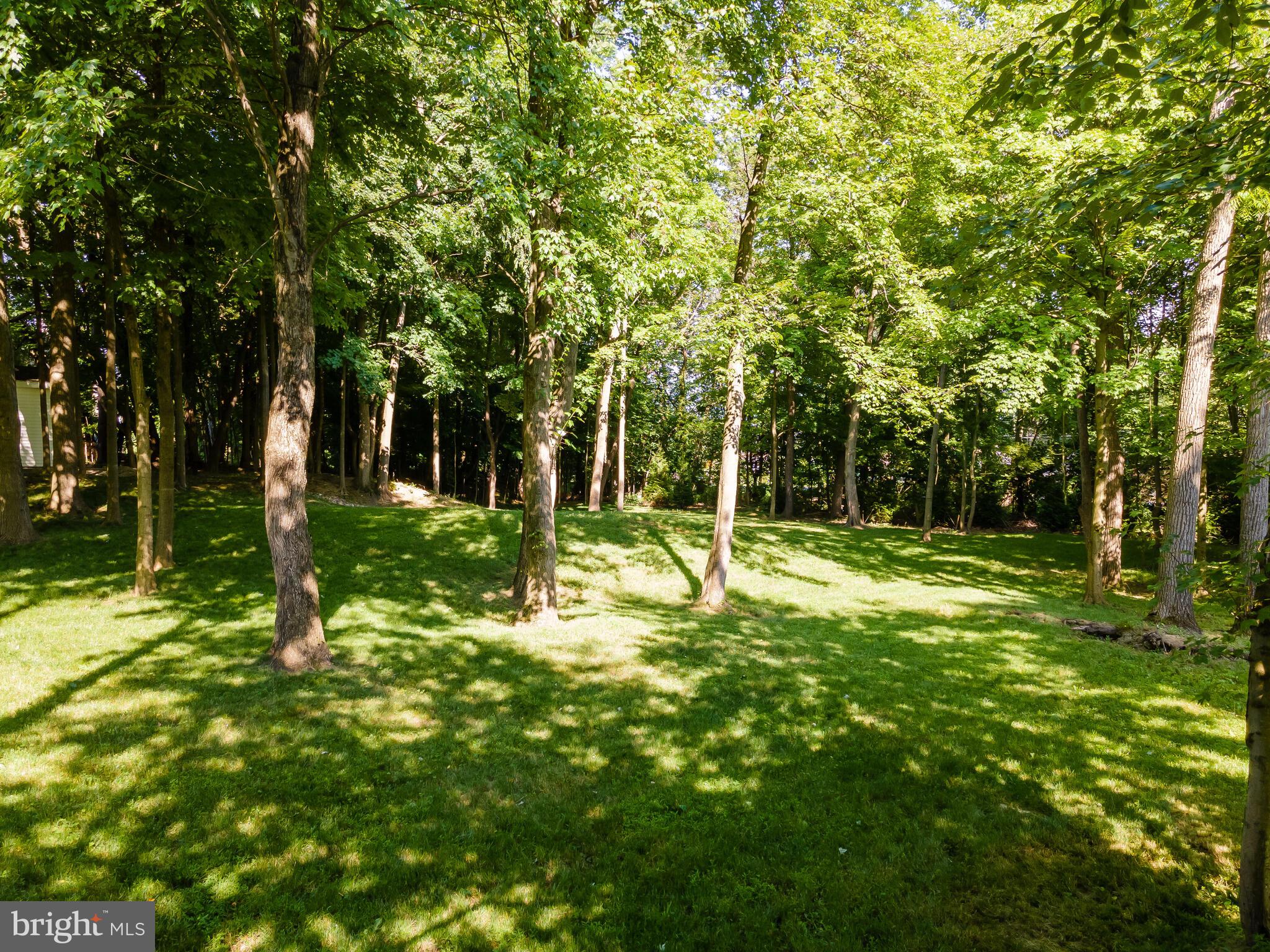 SWEDESFORD CHASE - Residential