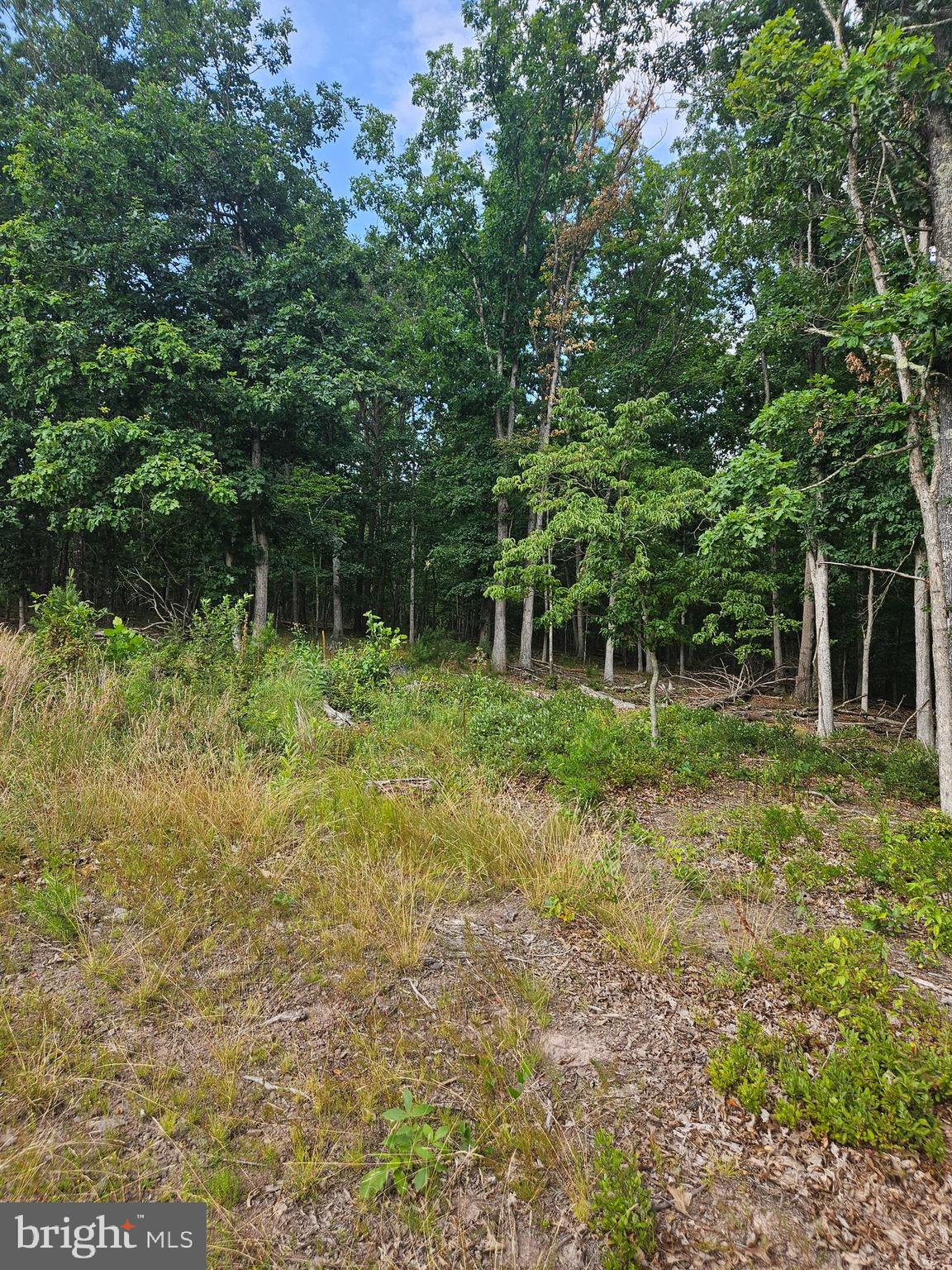 LOT 2 BLACKBERRY MEADOWS NO PHYSICAL ADDRESS