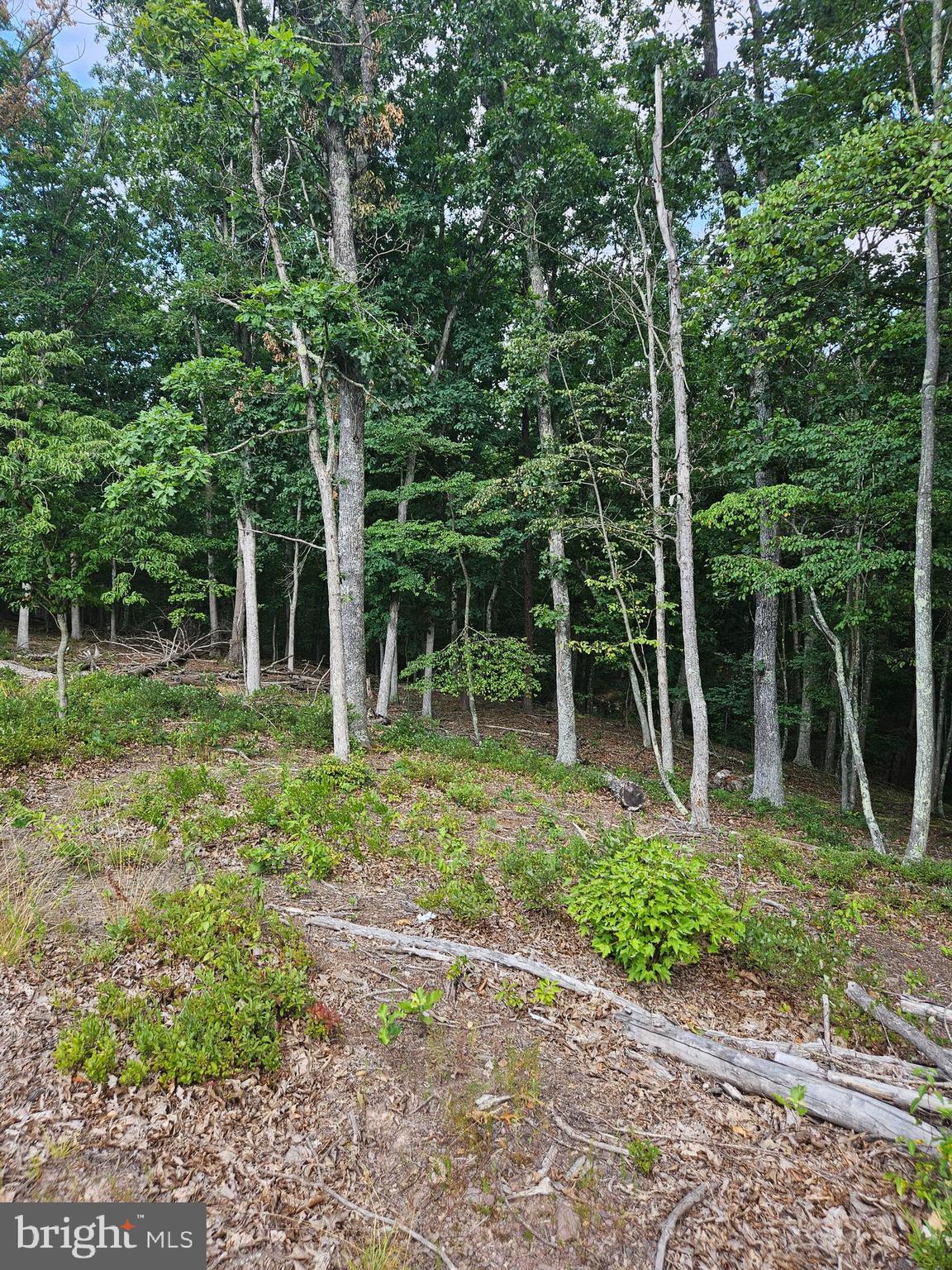LOT 2 BLACKBERRY MEADOWS NO PHYSICAL ADDRESS