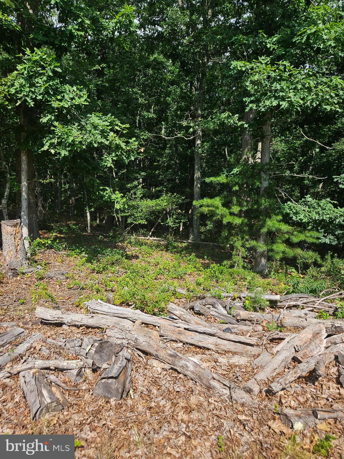 LOT 2 BLACKBERRY MEADOWS NO PHYSICAL ADDRESS