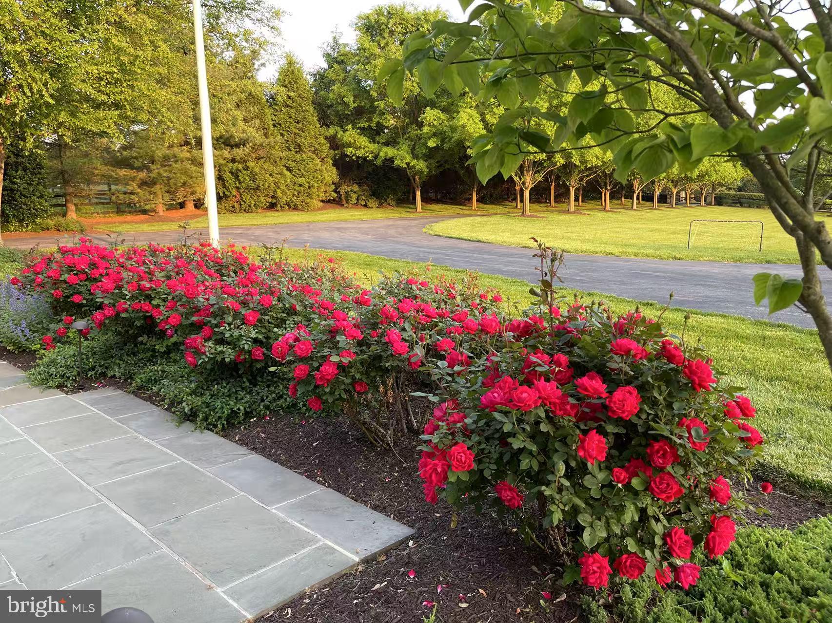 POTOMAC OUTSIDE - Residential