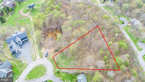 Vacant Land For Sale - 63 Camp Circle<br/> MC HENRY, MD 21541