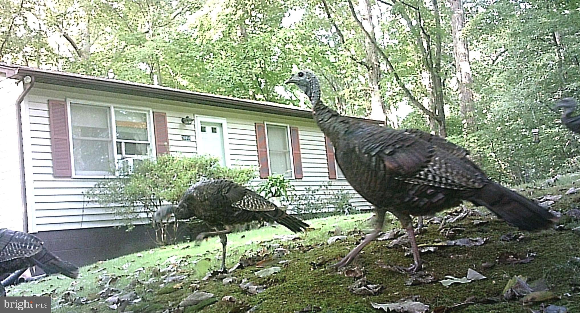 ST MARYS BEACH - Residential