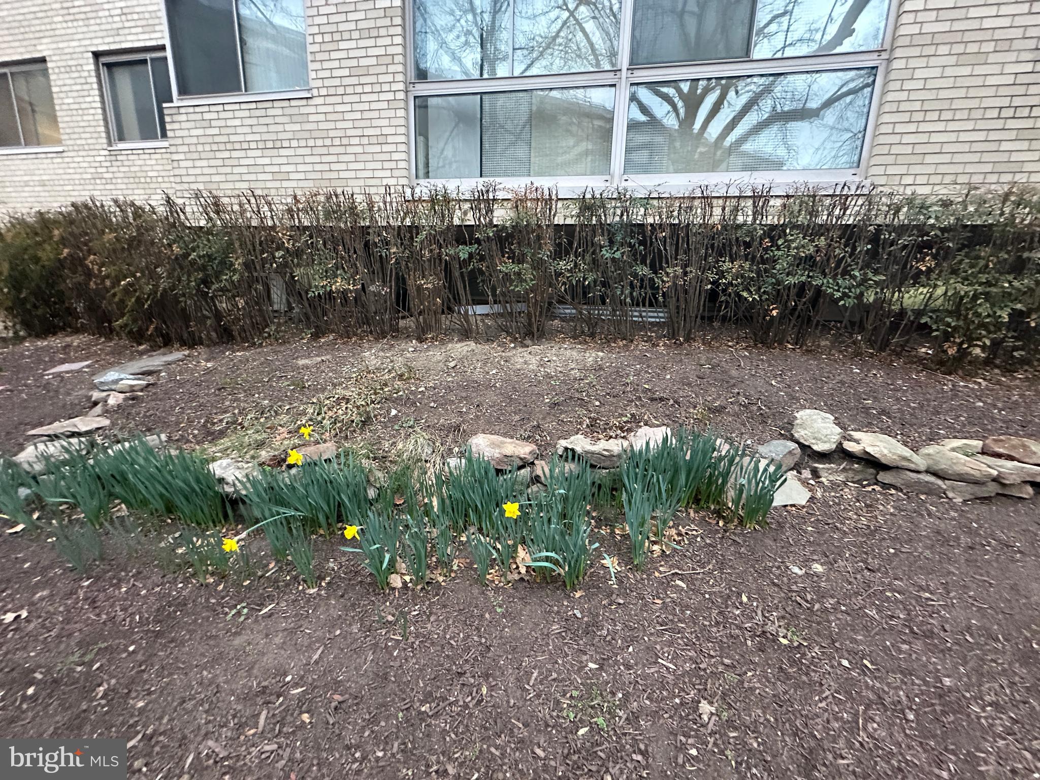 FOGGY BOTTOM - Residential