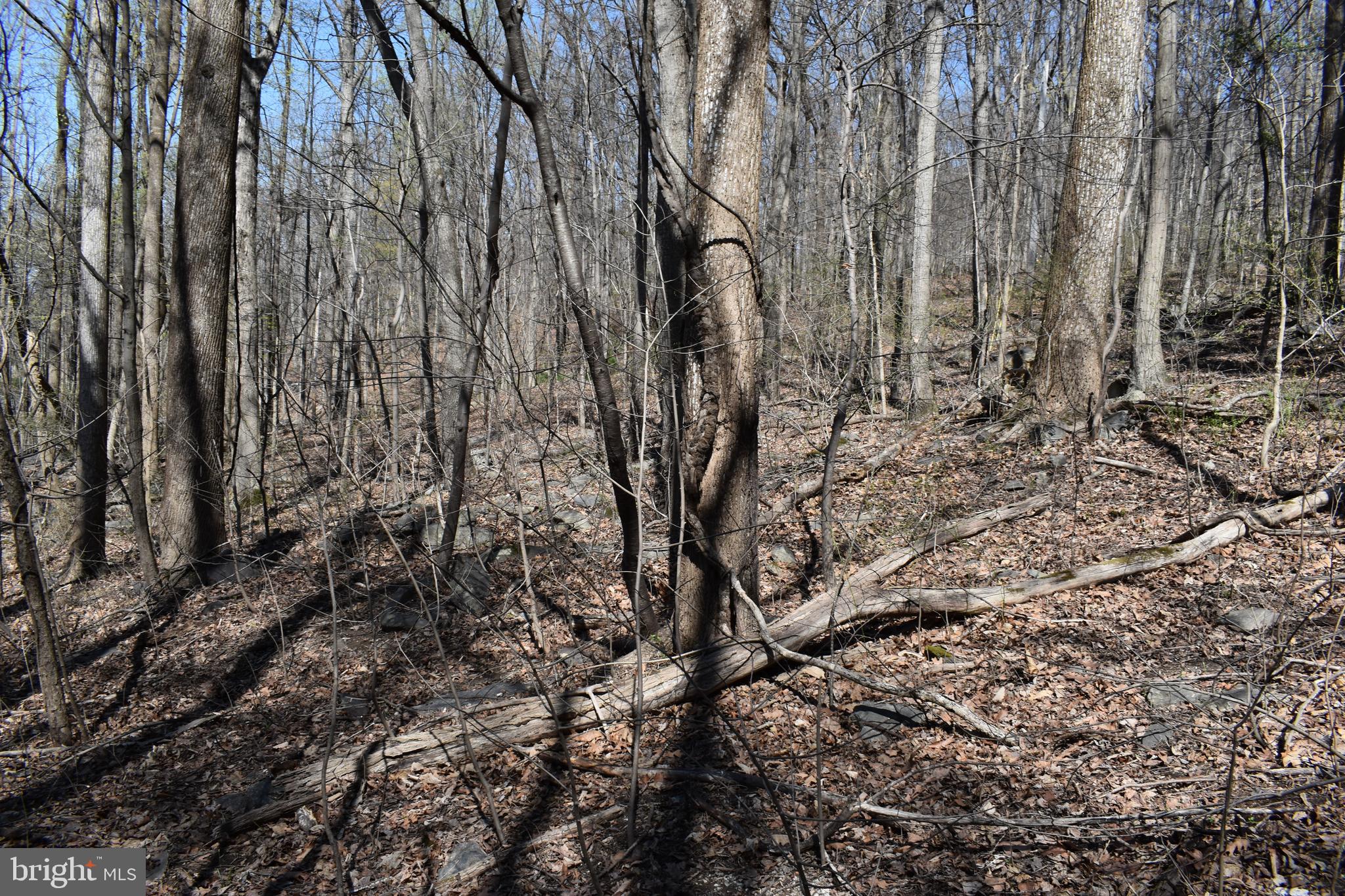 WESTRIDGE HILLS - Land