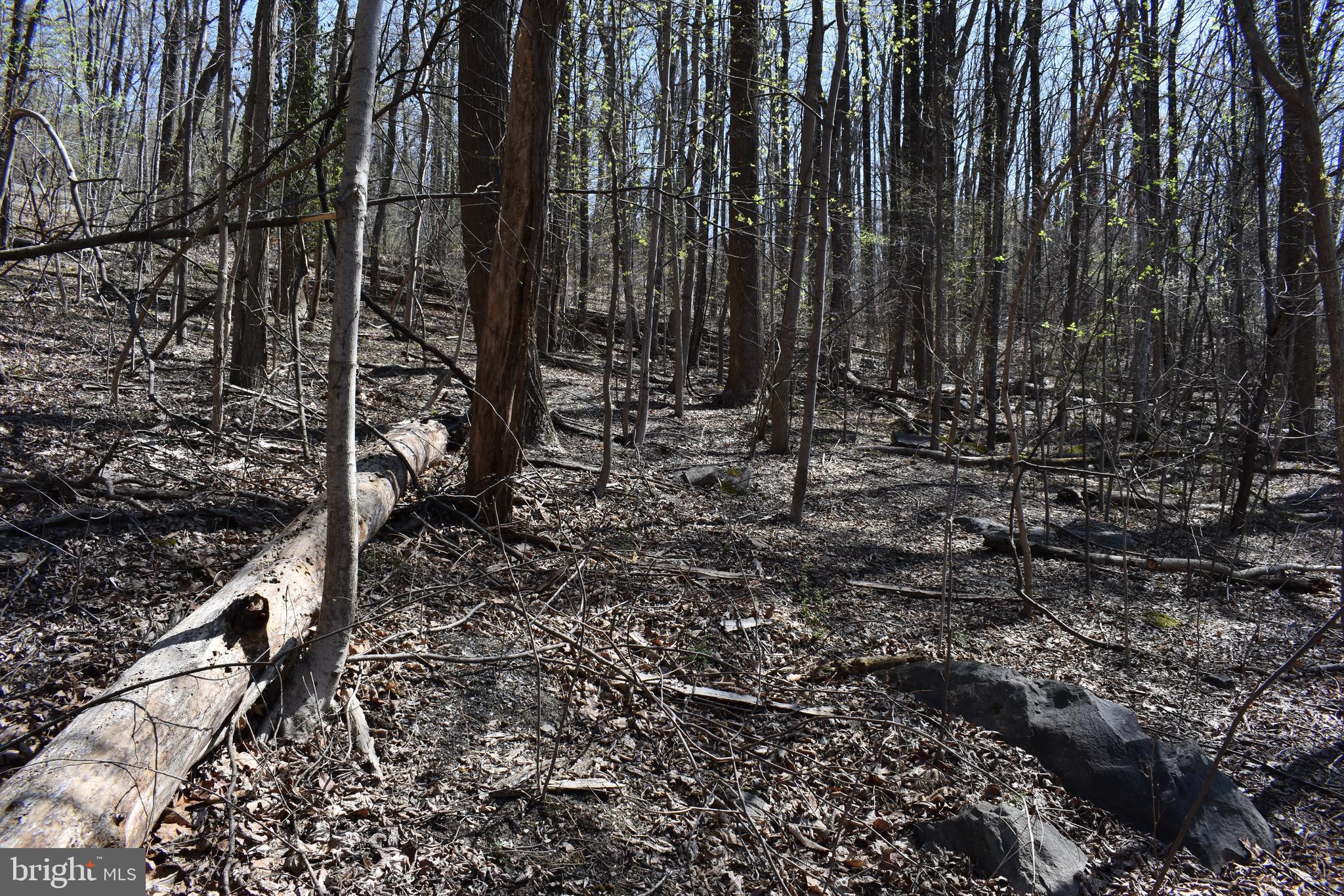 WESTRIDGE HILLS - Land