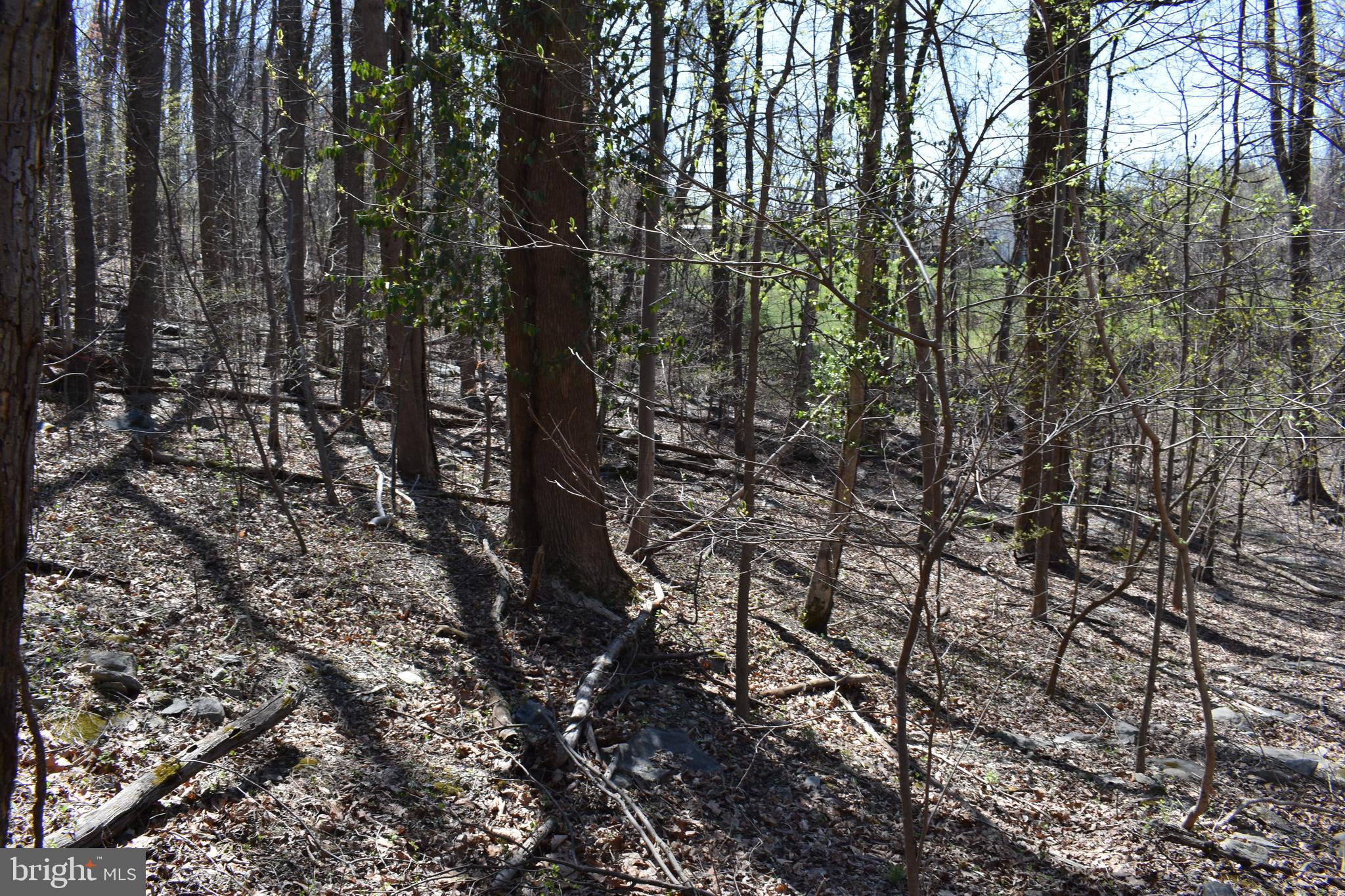 WESTRIDGE HILLS - Land