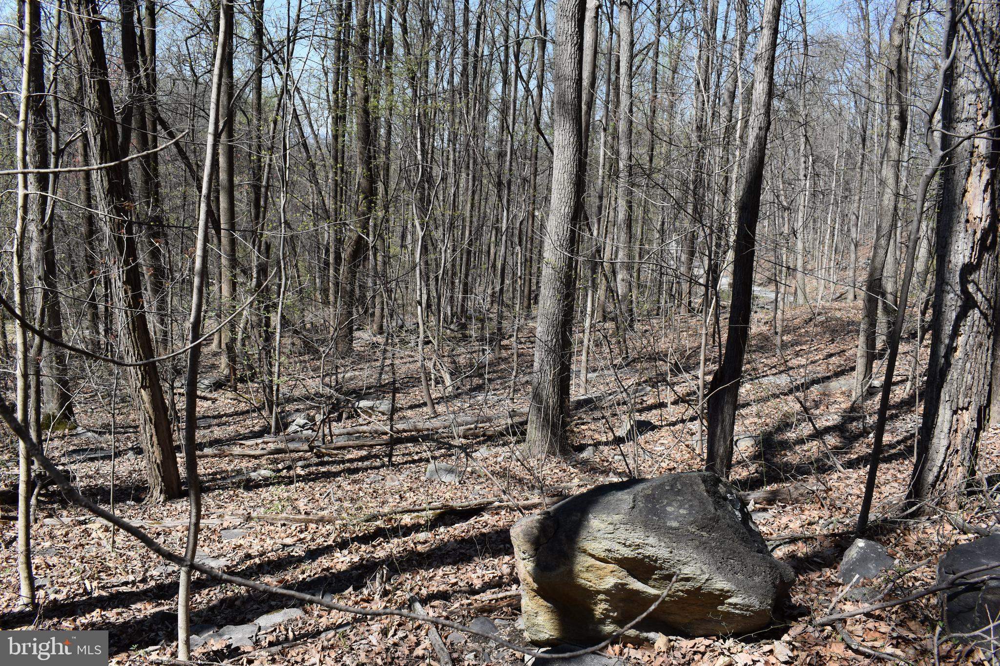 WESTRIDGE HILLS - Land