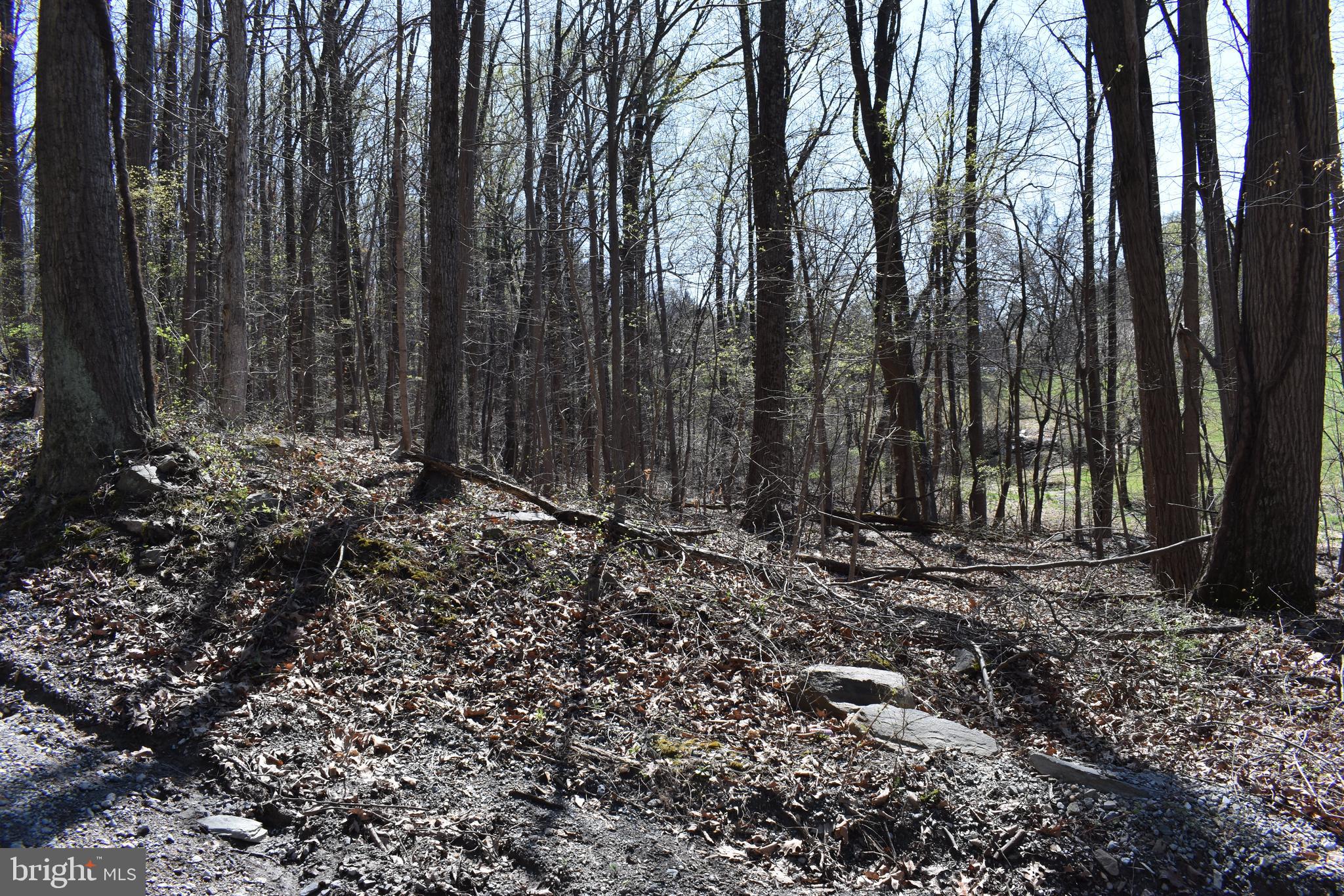 WESTRIDGE HILLS - Land